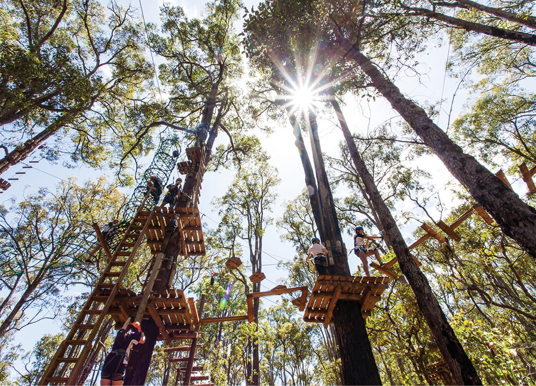 Treetops Adventure Dwellingup4