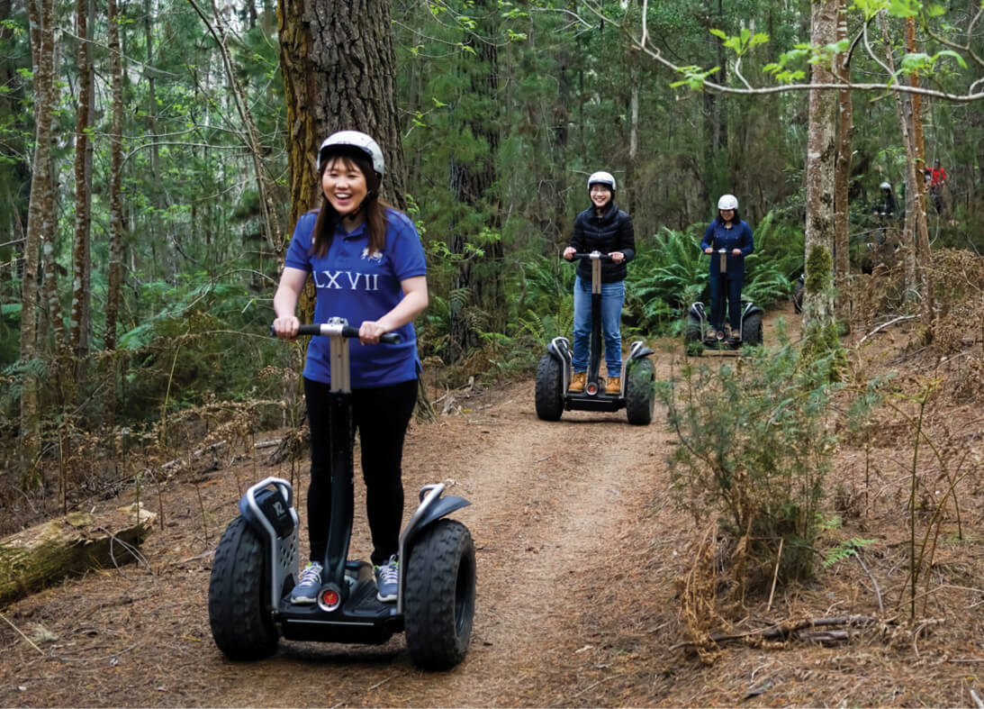 Treetops Adventure Hollybank3