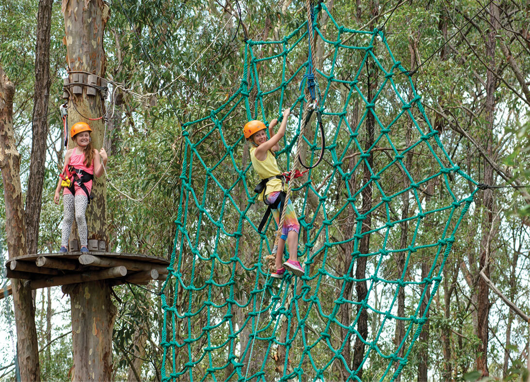 Treetops Adventure Newcastle2