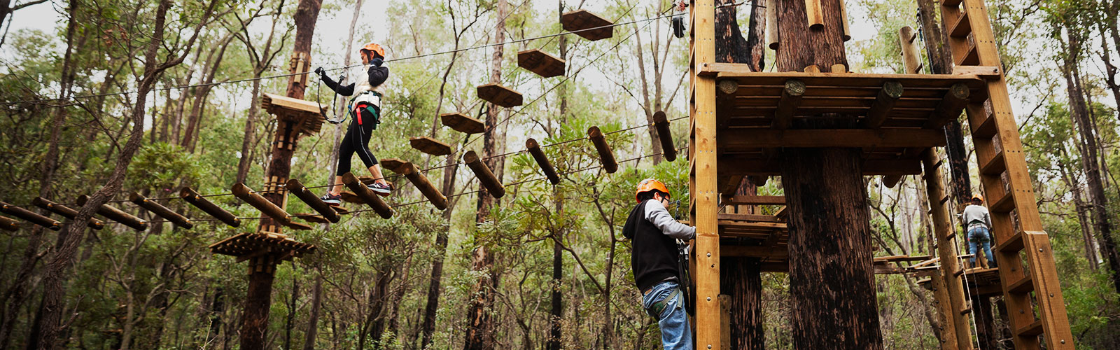 Treetops Adventure Dwellingup High Ropes Course