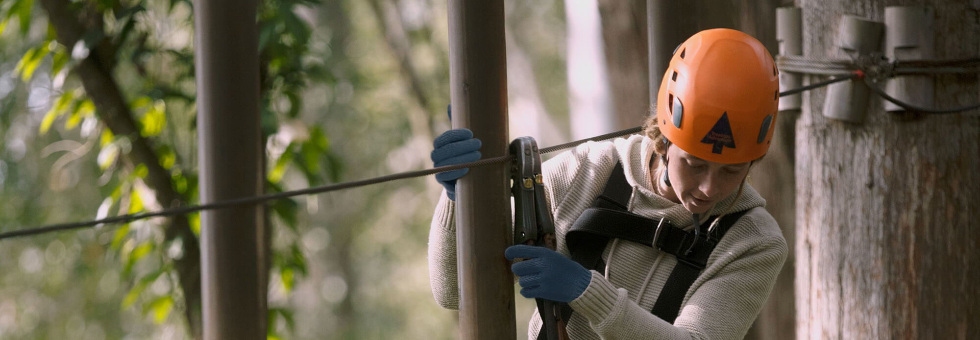 Treetops Adventure Privacy Statement