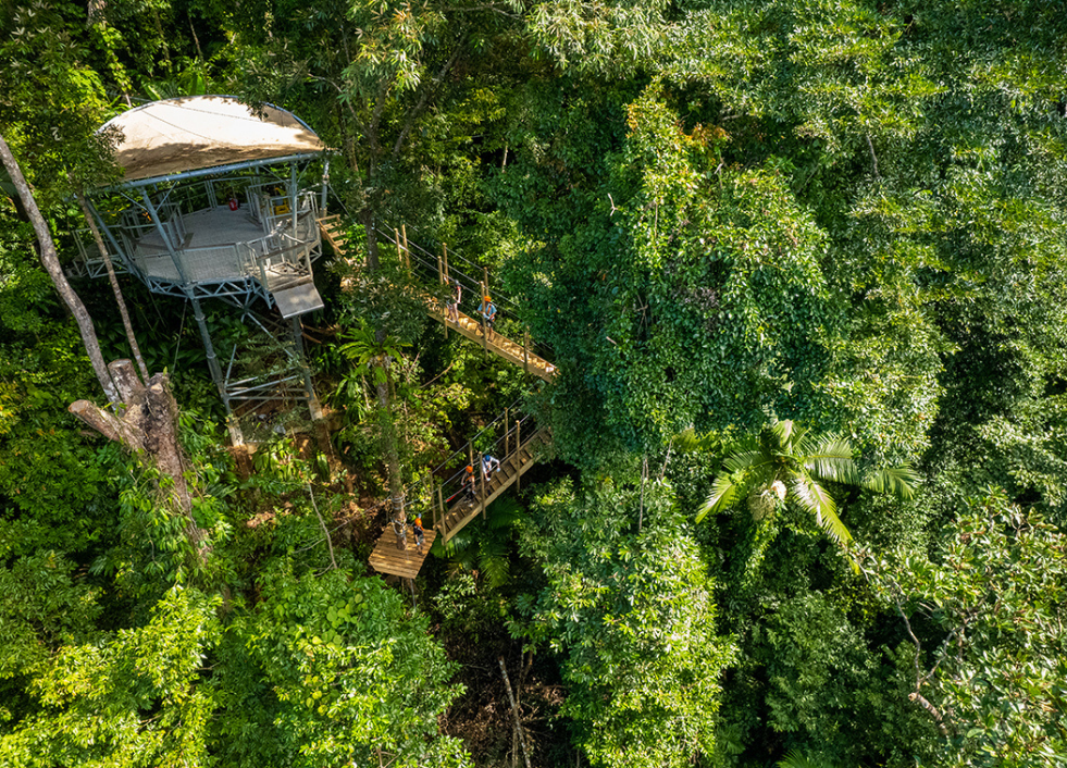 Cape Tribulation Zip 5