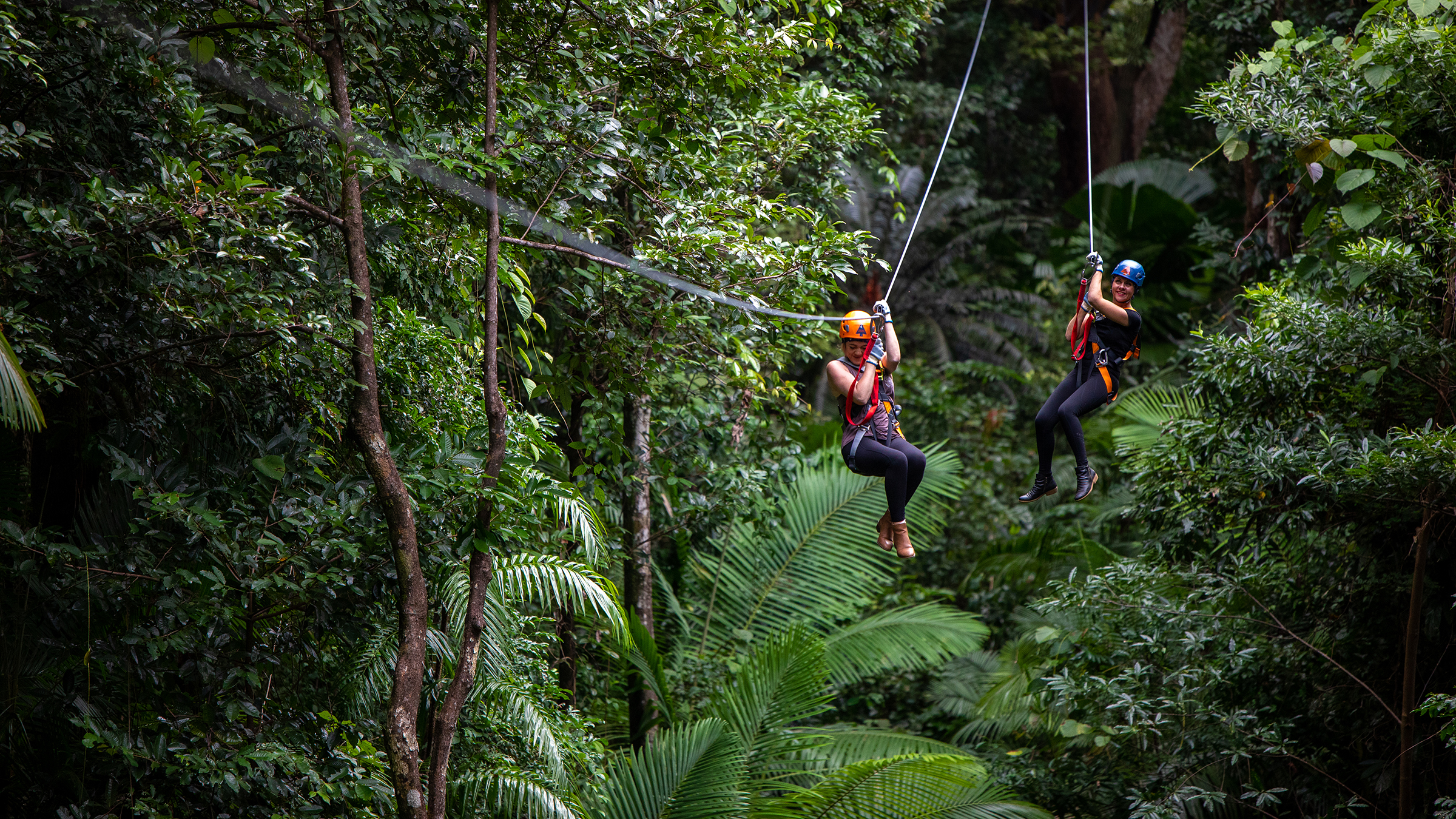 Cape Tribulation Dual Zipline